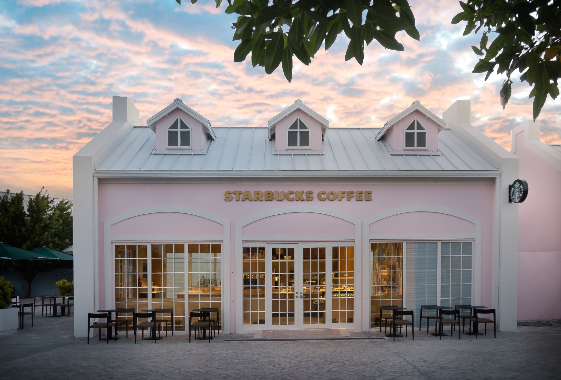 Labor groups nominate 3 to the Starbucks board [Video]