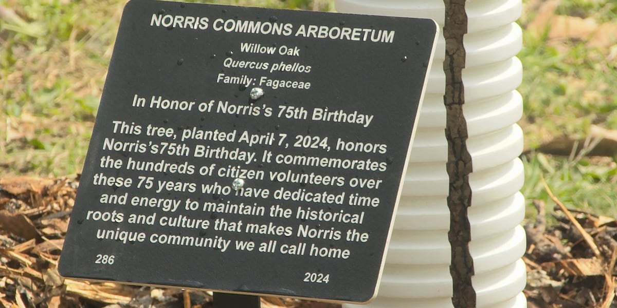 City of Norris kicks off 75th anniversary with tree planting [Video]