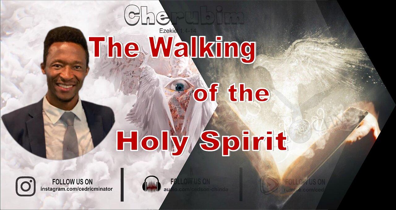 The Walking of the Holy Spirit Through prayer | [Video]