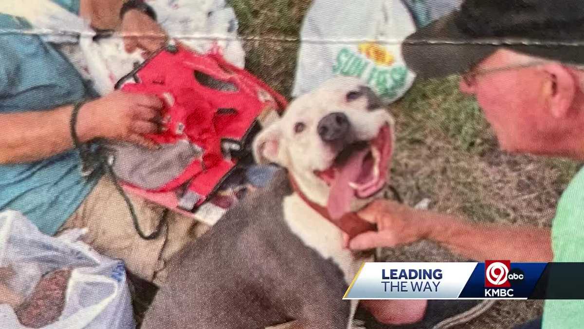 Pet Resource Center looks to help KC’s homeless keep their pets [Video]