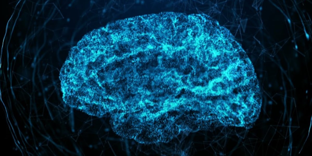 3 BRILLIANT MINUTES: Big brain scans [Video]