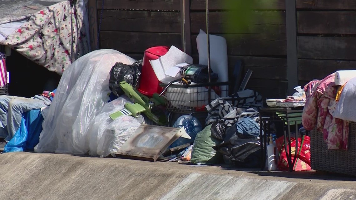 City slated to perform at least 1,000 homeless encampment cleanups by end of 2024 [Video]