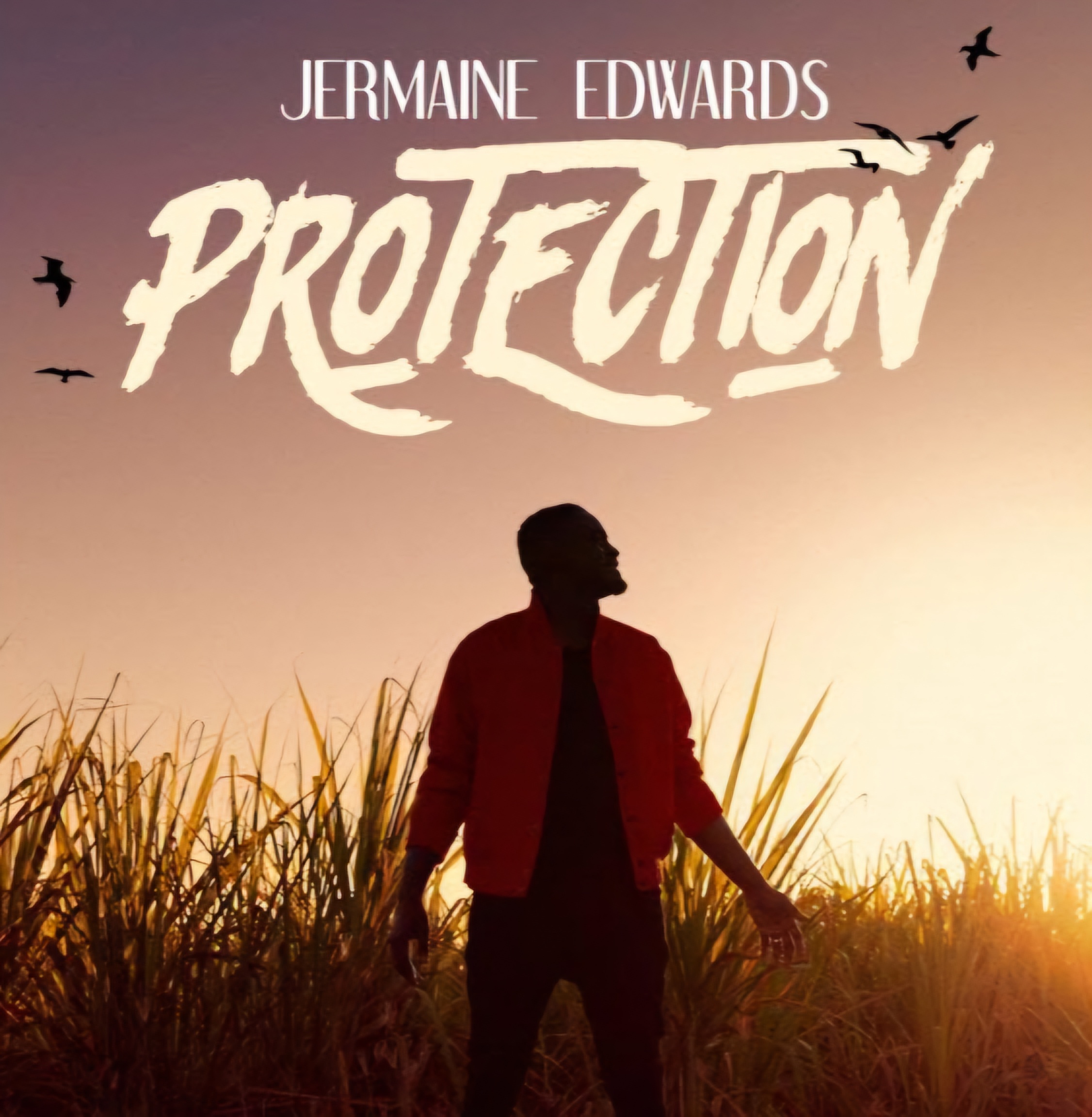 Jermaine Edwards  Protection [Video]