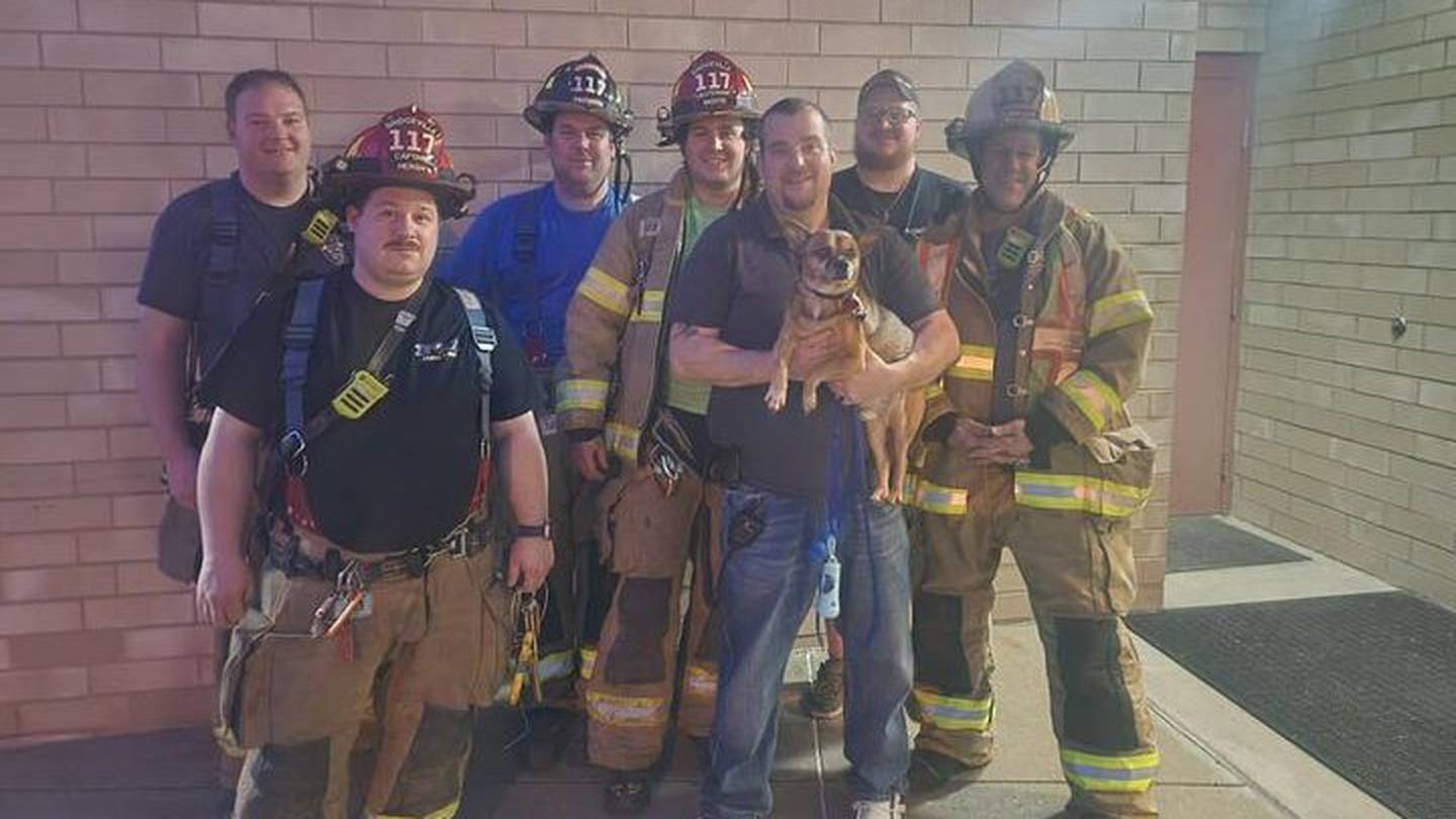 Bridgeville firefighters save dog from stuck elevator  WPXI [Video]