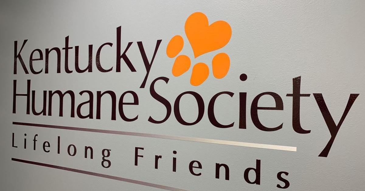 Kentucky Humane Society celebrates 140th anniversary with matching donation campaign | News from WDRB [Video]