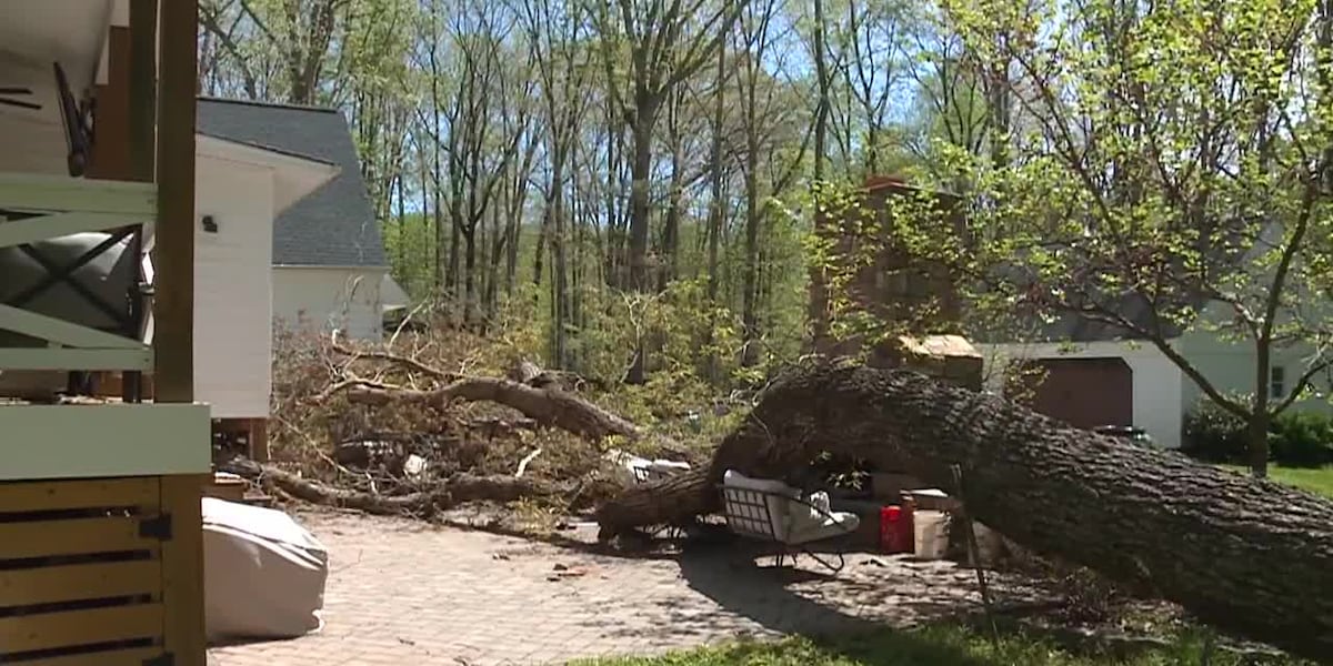 2 fathers lucky to be alive after 40-feet tree falls outside home [Video]