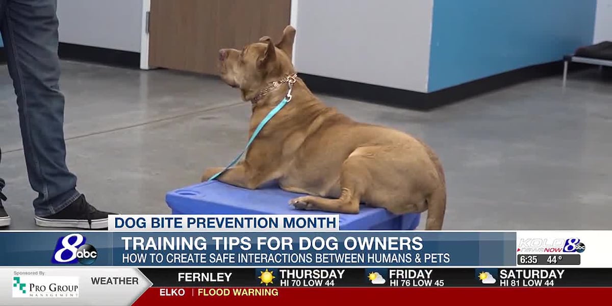 Good Morning Reno 6 am (Recurring) dog bite prevention [Video]