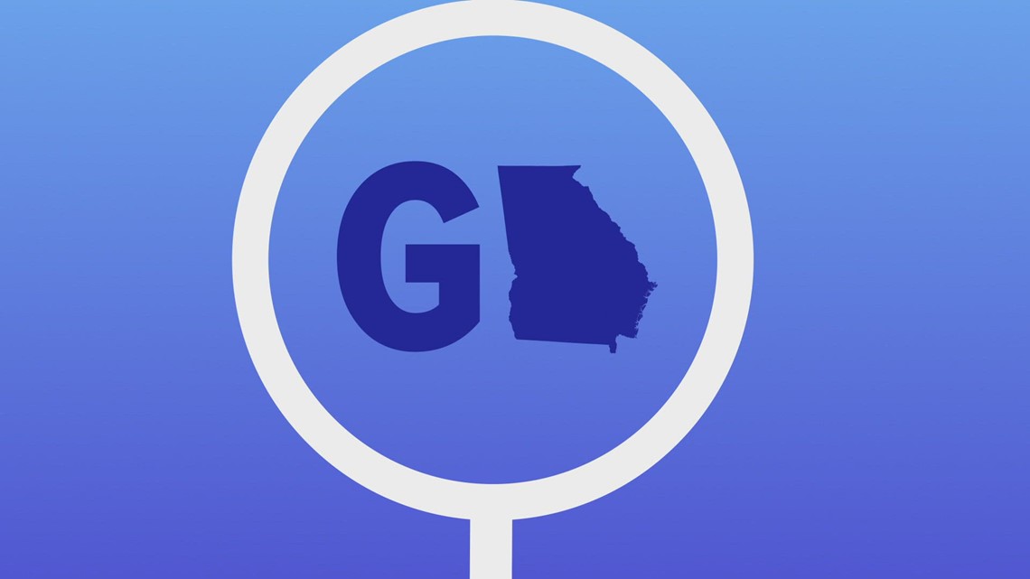 Central Georgia Focus on Peach County Family Connection Success [Video]