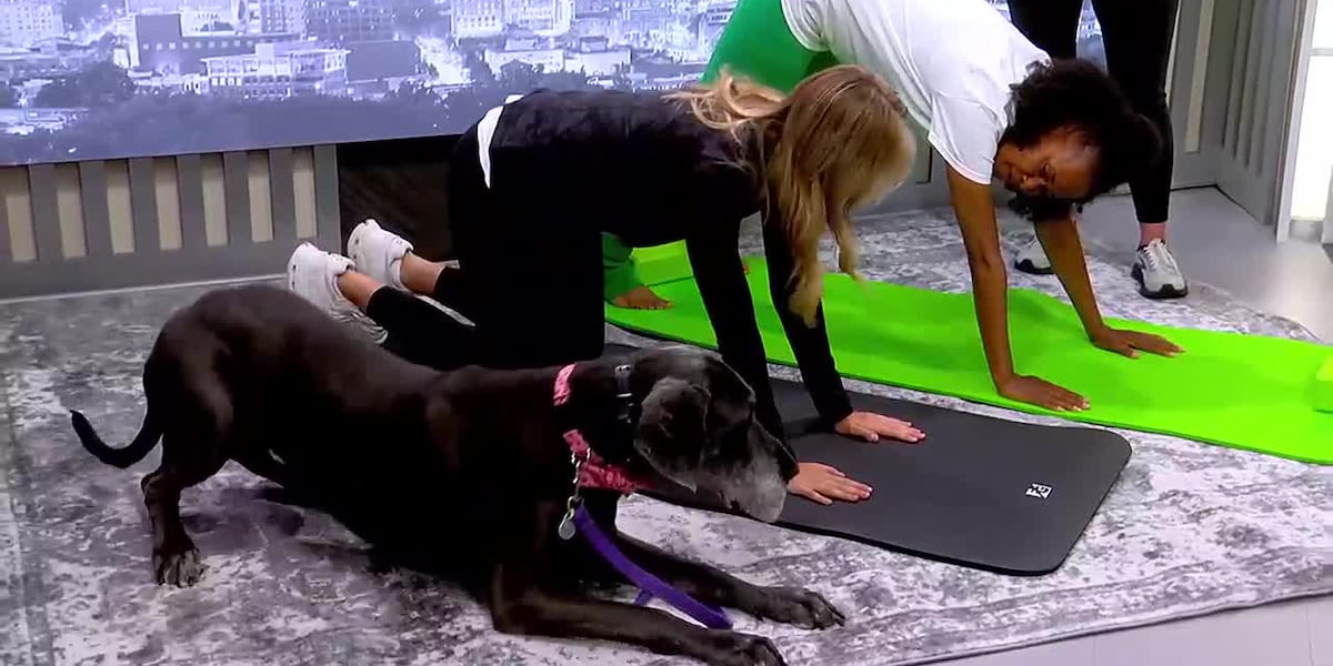 Dog moms and pups invited to Mutt-ers Day Yoga class [Video]