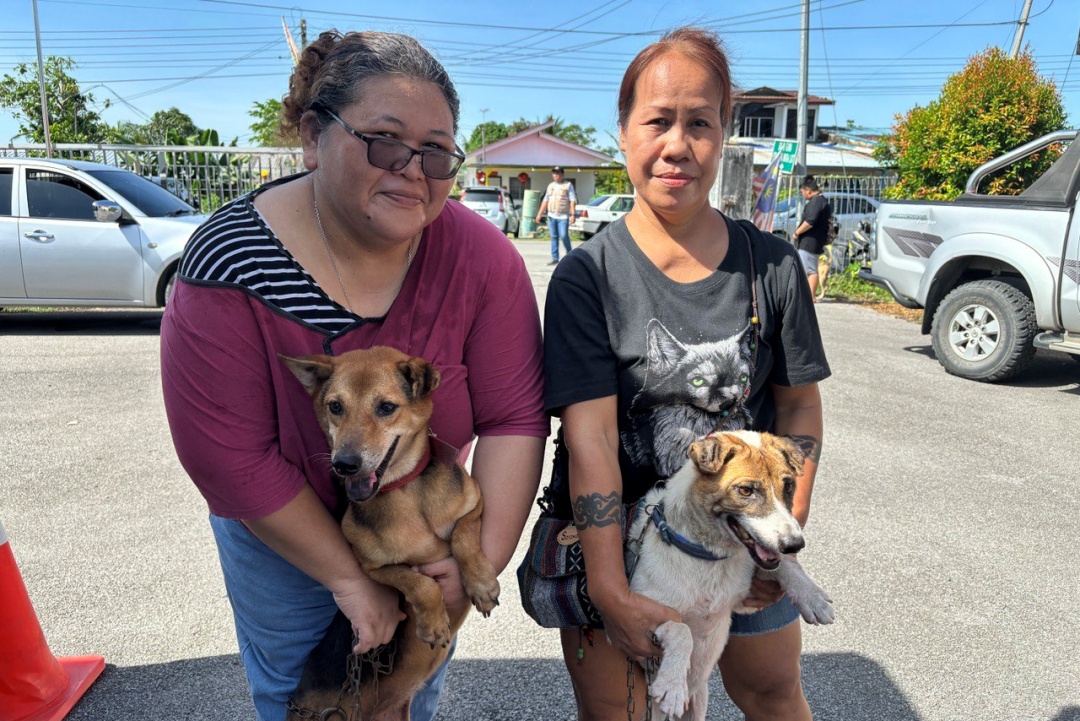 No excuse for not getting rabies vax for your dogs, says Kuching pet owners (VIDEO)
