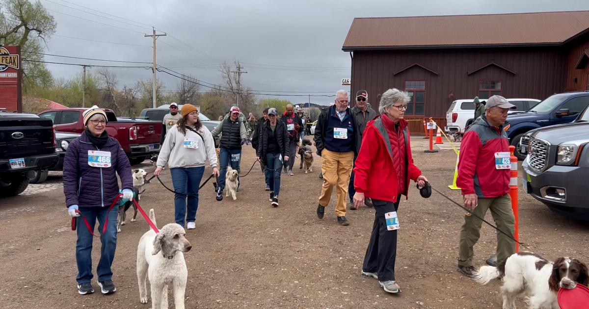 Barktastic time at the 10th anniversary of Hobo’s Healing Heart in Spearfish | News [Video]