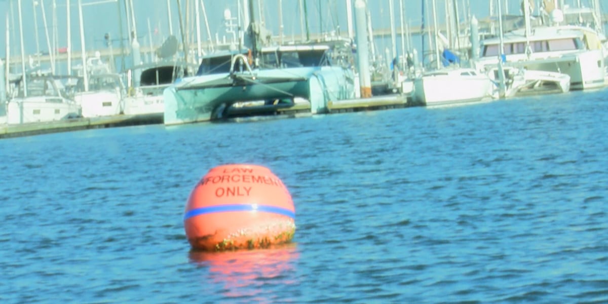 Lowcountry nonprofit working to better the waterways one buoy at a time [Video]