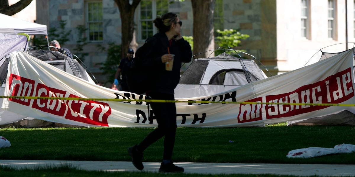 Pro-Palestinian group calls for end to violence after arrests at Emory University [Video]