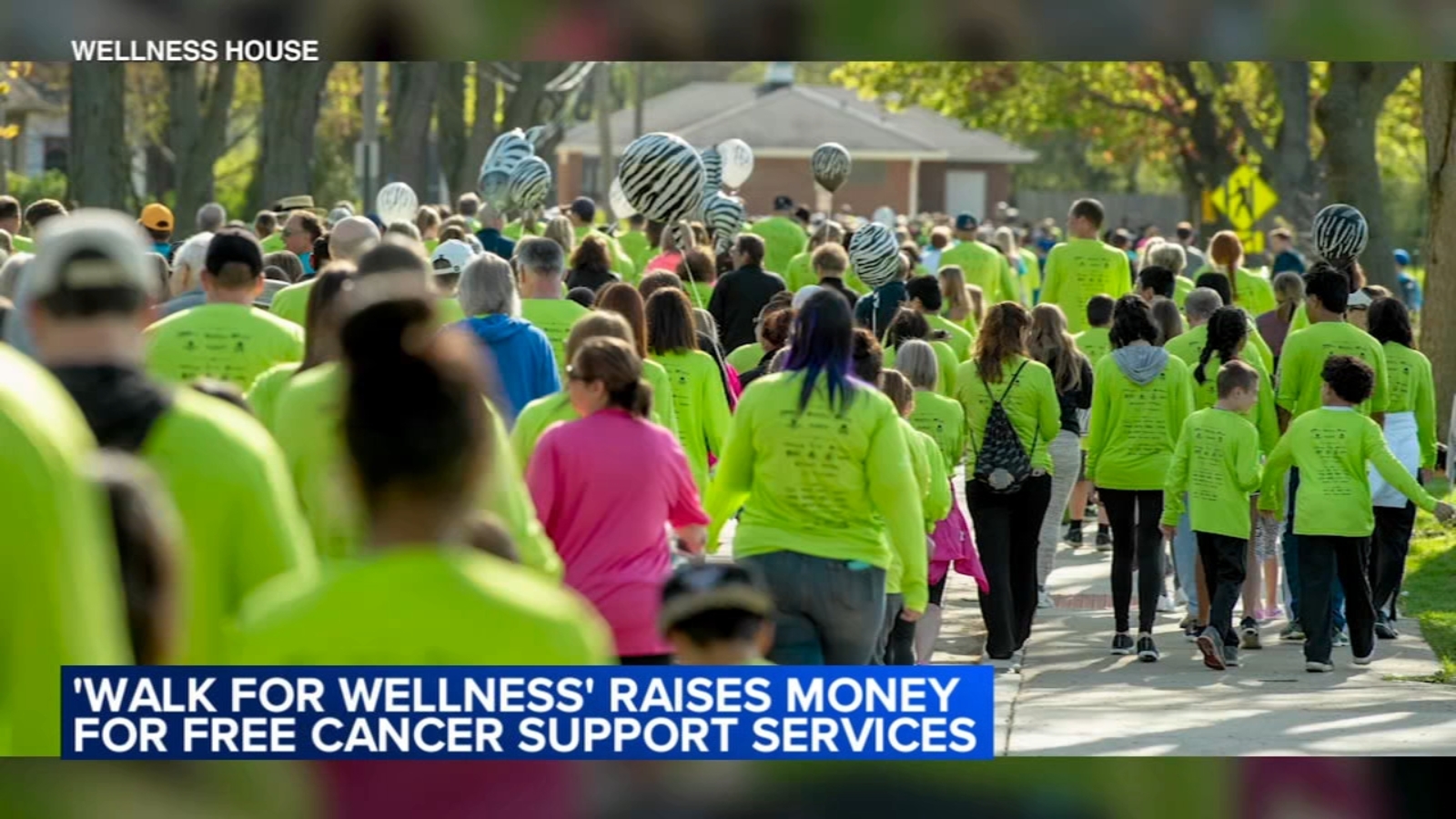 Wellness House to host Walk for Wellness House in Hinsdale to raise funds for free cancer support services for families [Video]