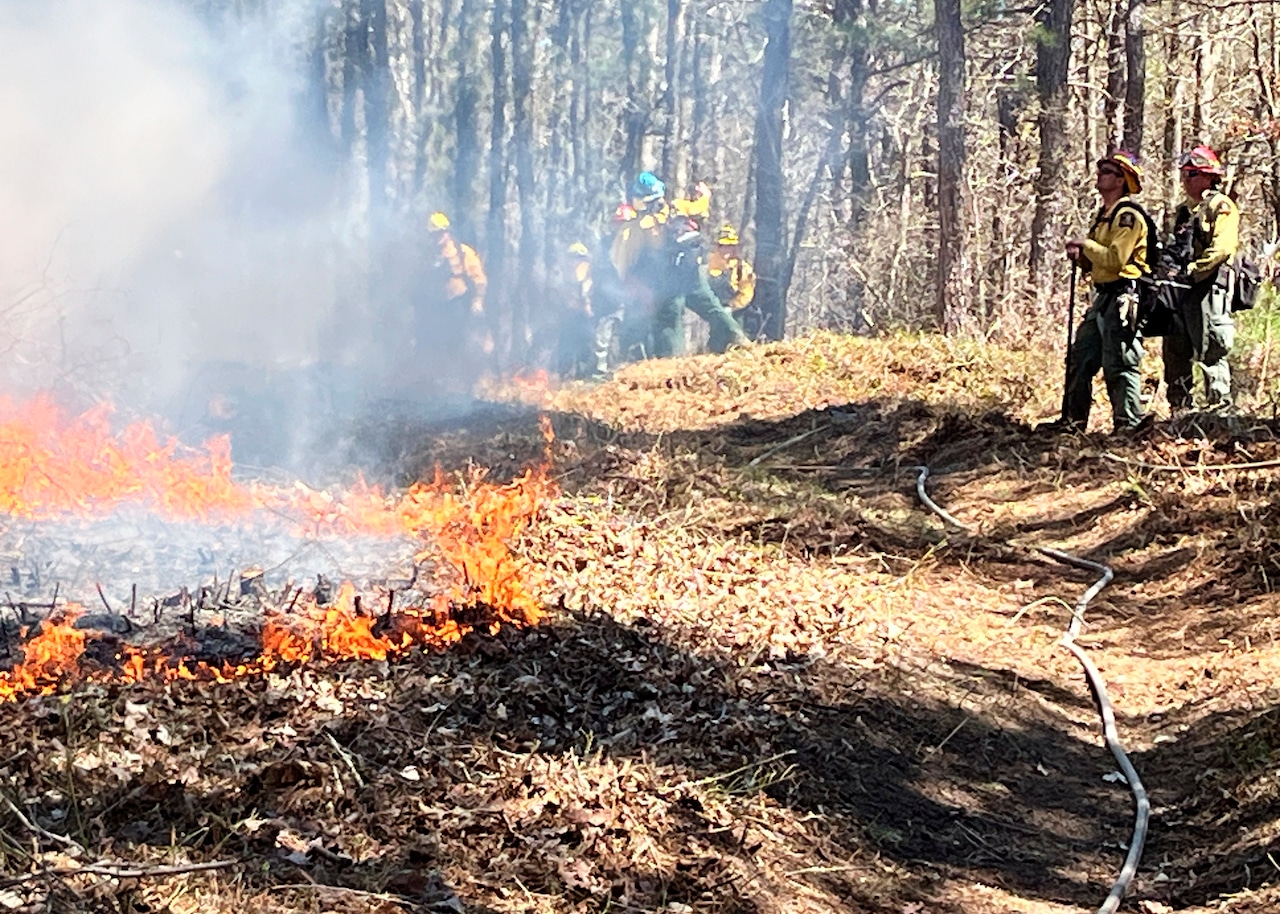 Forest rangers conduct controlled burns on 261 acres across New York State [Video]