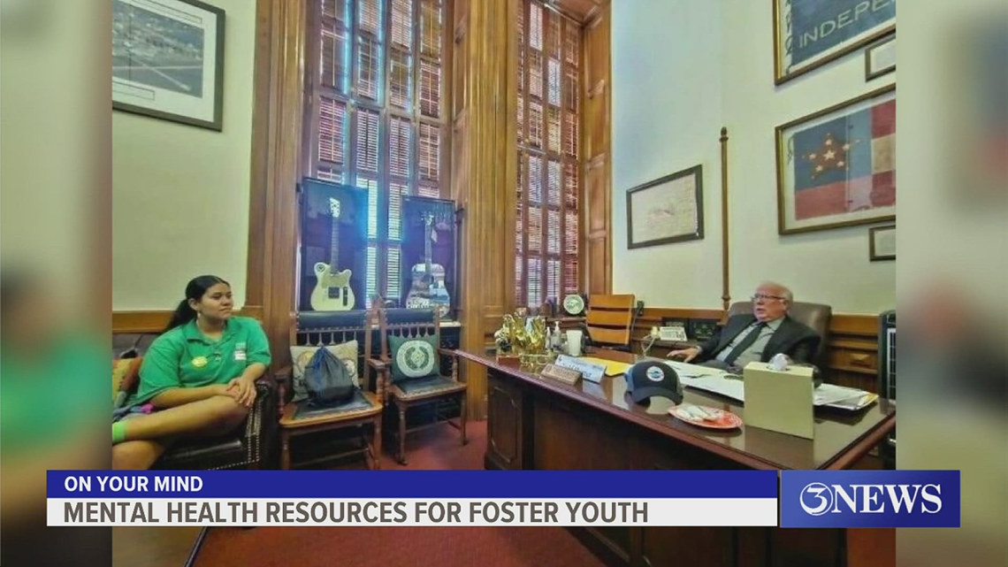 Mental health resources for local foster youth [Video]