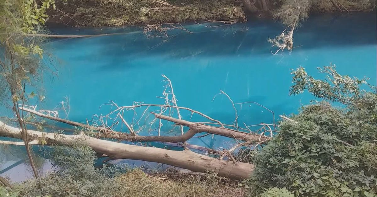 EPA issues clean-up order to chemical business after Sydney creek turns blue [Video]