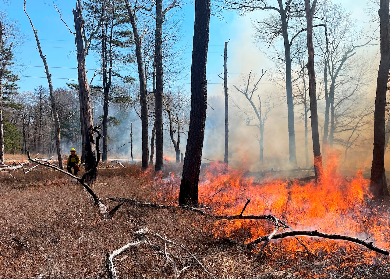 Forest rangers rescue injured ADK hikers; conduct prescribed fires on 100 acres [Video]