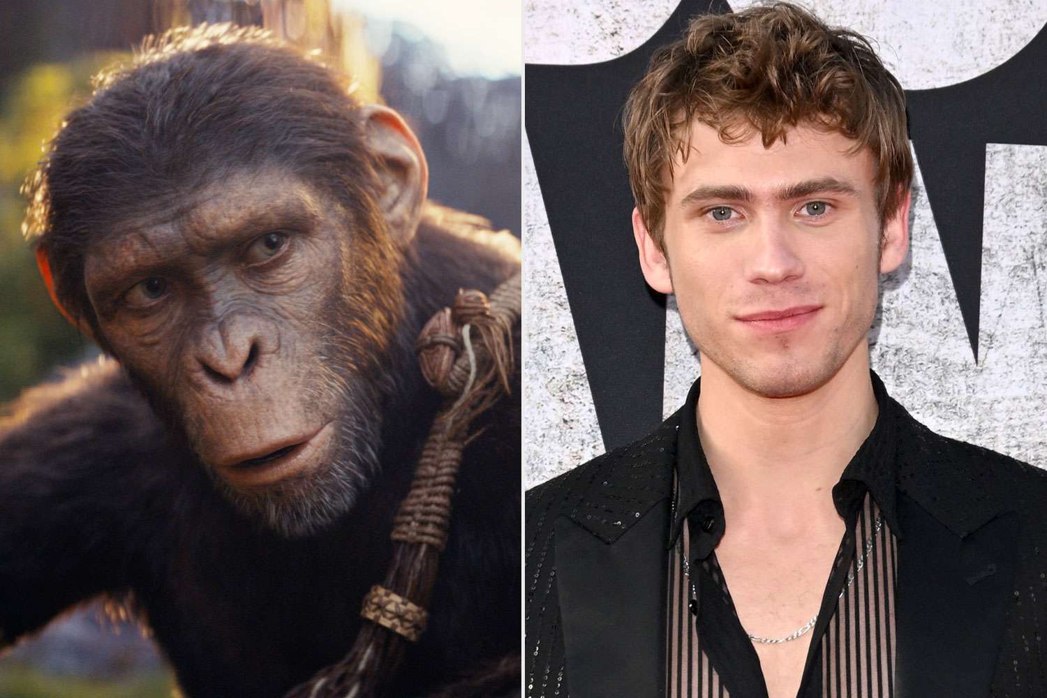‘Kingdom of the Planet of the Apes’: Characters vs. Cast [Video]