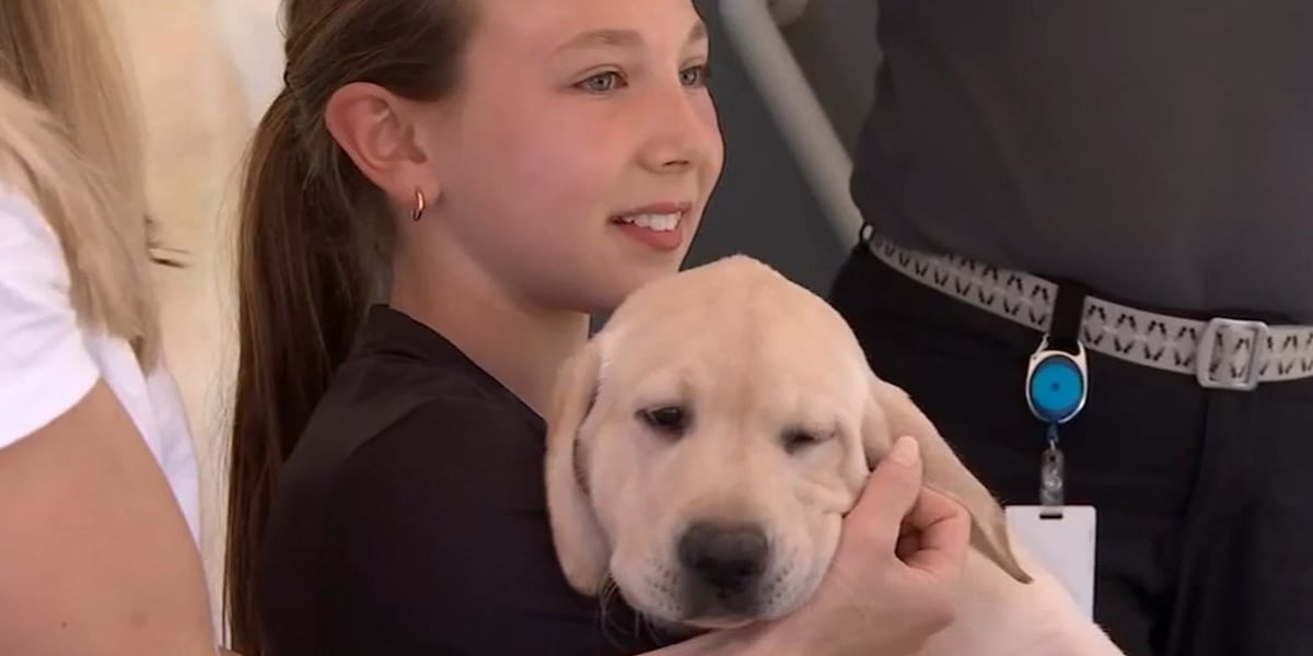 Future guide dogs head home with volunteer puppy raisers [Video]