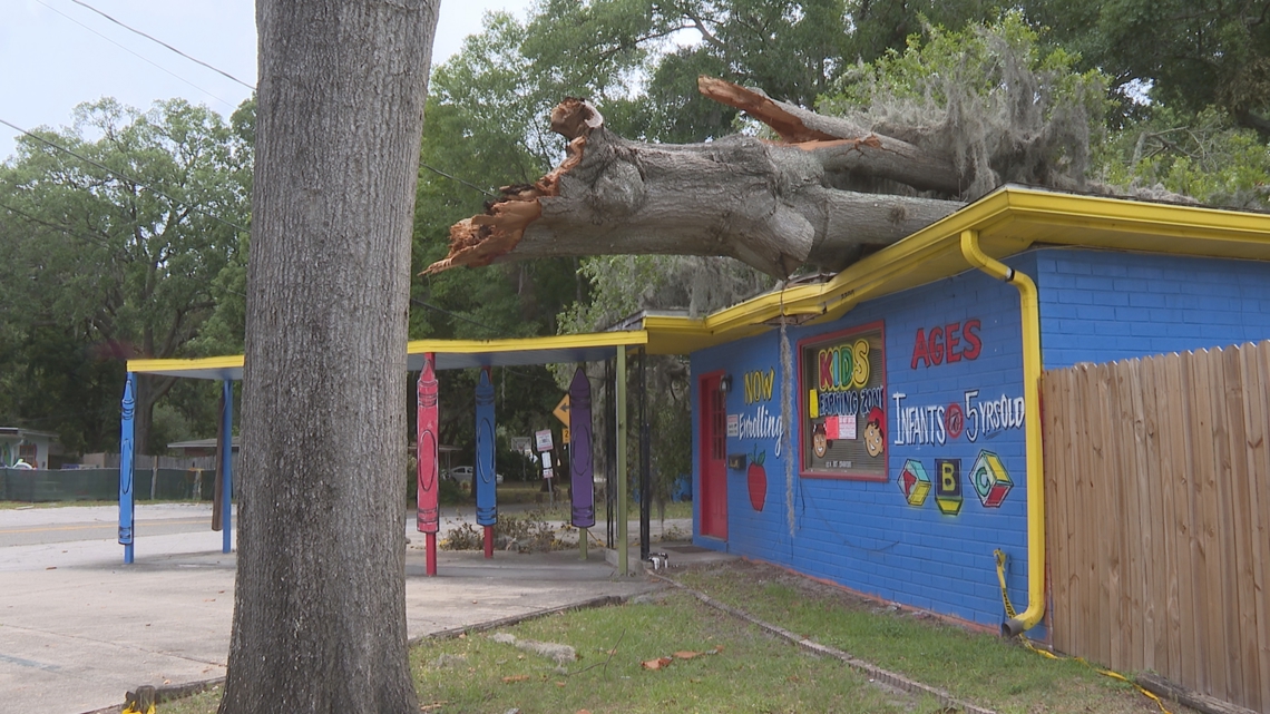 Massive tree falls on Arlington preschool during severe weather [Video]