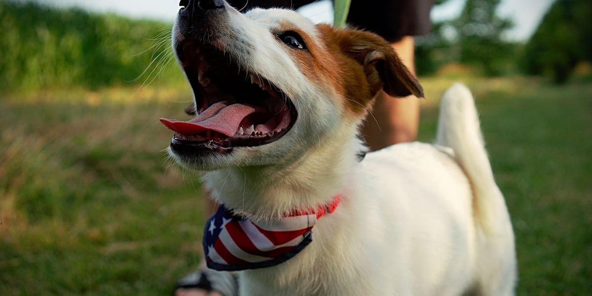 Nebraska Humane Society highlights trail options for your furry friends this summer [Video]