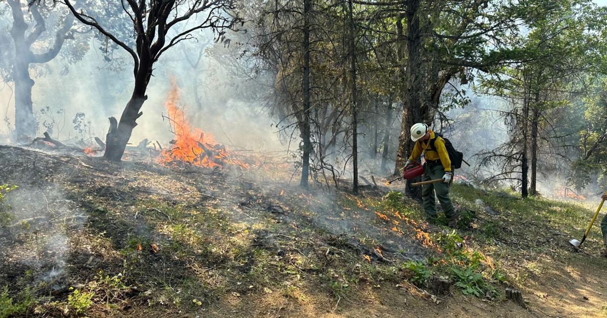Multiple prescribed burns taking place this week | FireWatch [Video]