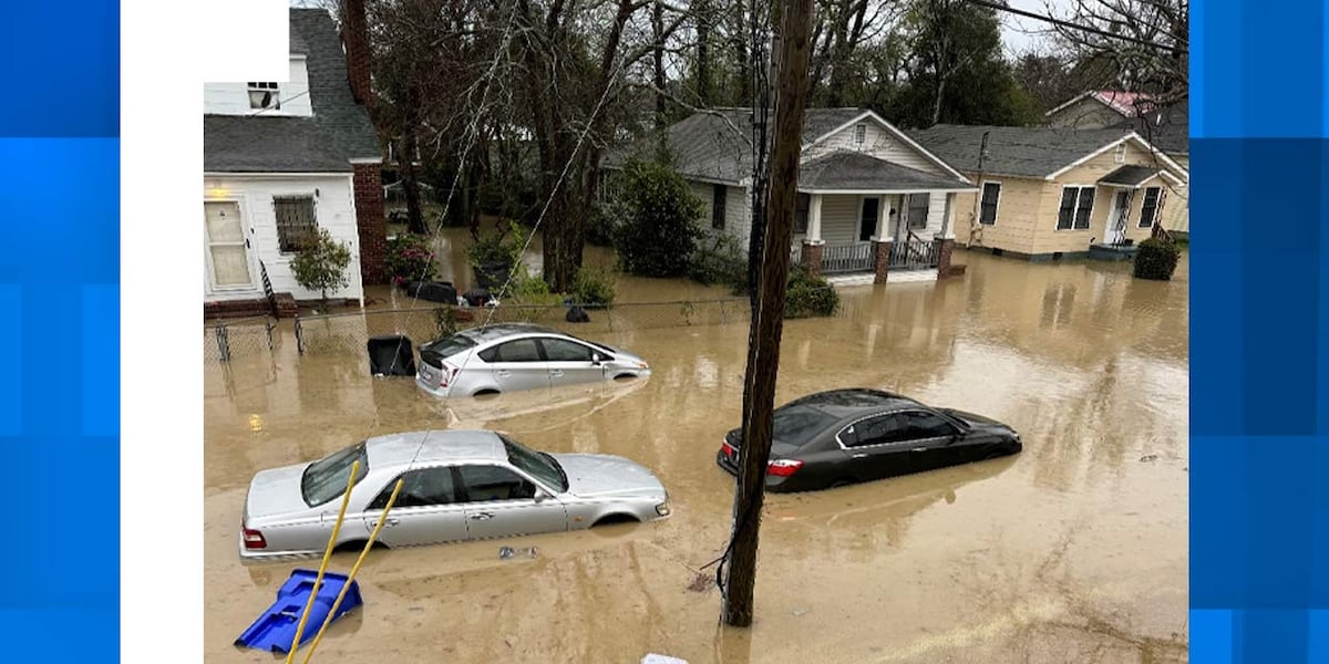 Charleston Heights homeowners report more flooding after SC Ports construction [Video]