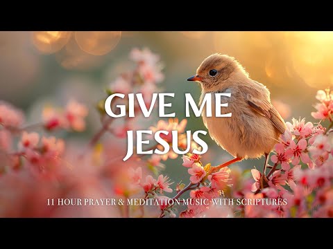 GIVE ME JESUS | Instrumental Worship Music To Help Overcome Sadness | Christian Harmonies [Video]