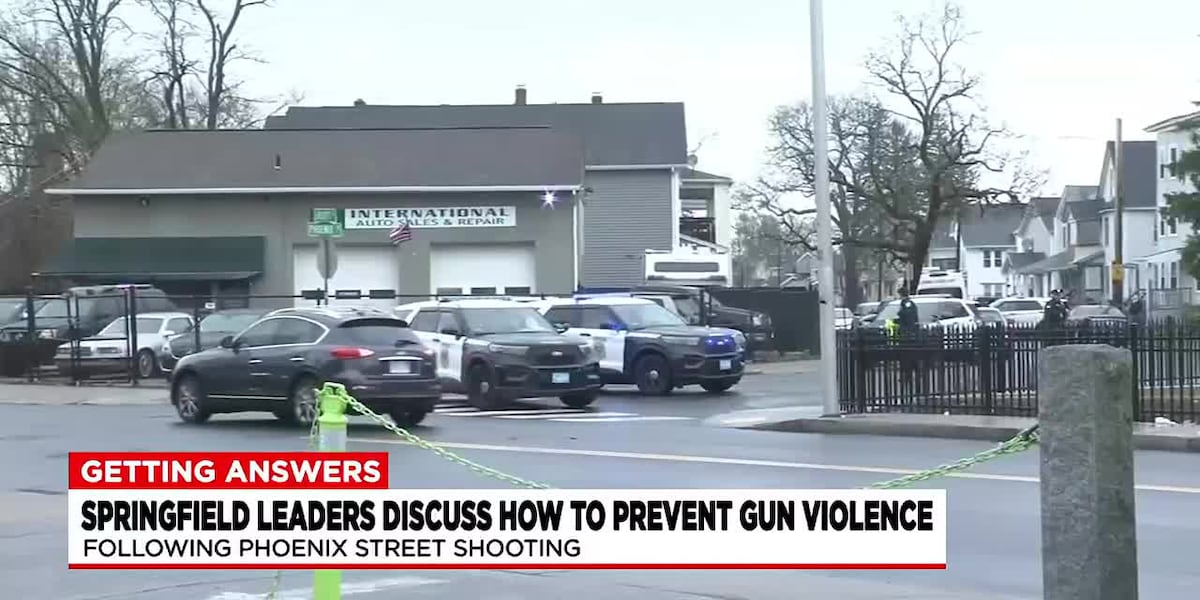 Springfield officials speak on programs to curb teen gun violence [Video]