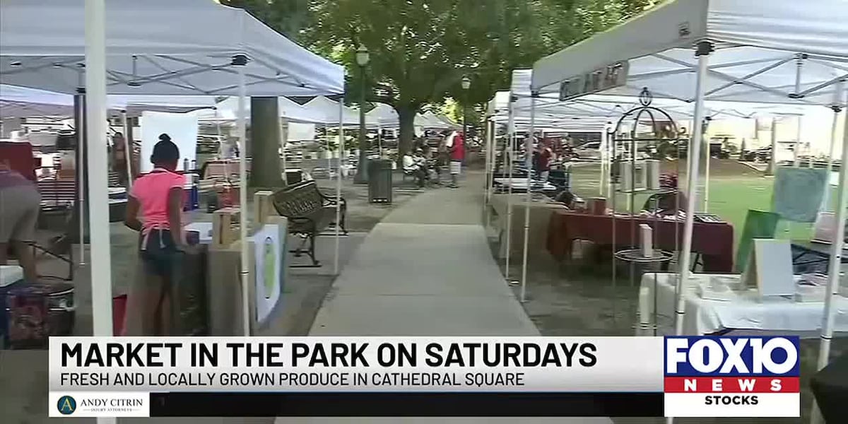 Market in the Park set Saturday in Cathedral Square [Video]