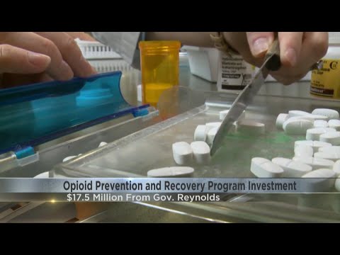 Governor Reynolds announces $17.5M investment for opioid recovery programs [Video]