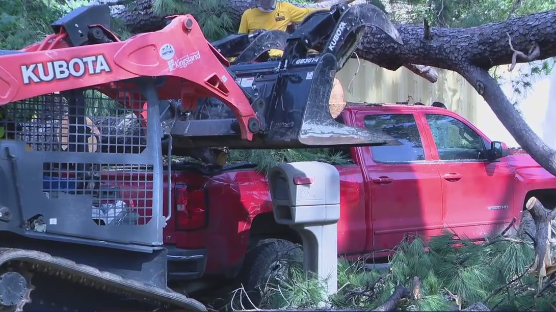Group helps cut down fallen trees around Houston [Video]