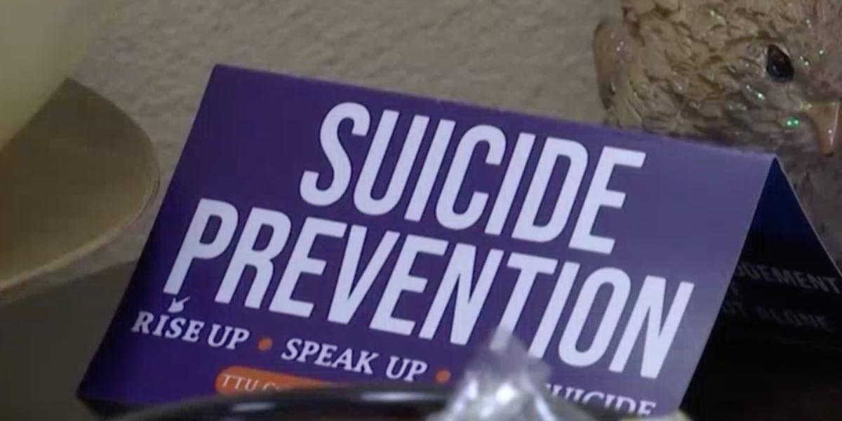 NEDHSA to host suicide first aid workshop [Video]