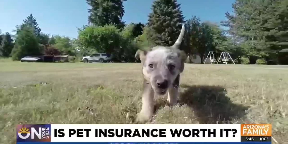 Is pet insurance worth it? [Video]