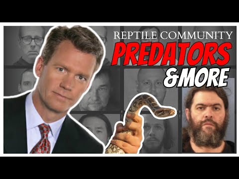 Predators and More EXPOSED in the Reptile Community [Video]