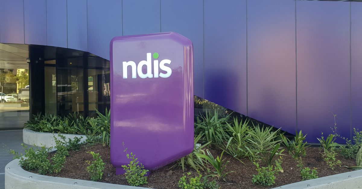 ‘Alarming’ revelations of mass NDIS rorts ‘priority’ for government [Video]