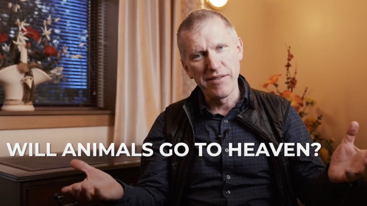 Will Animals Go To Heaven?  Solas [Video]