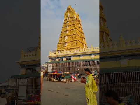 Chamundi Hill Mysore India 🇮🇳 [Video]