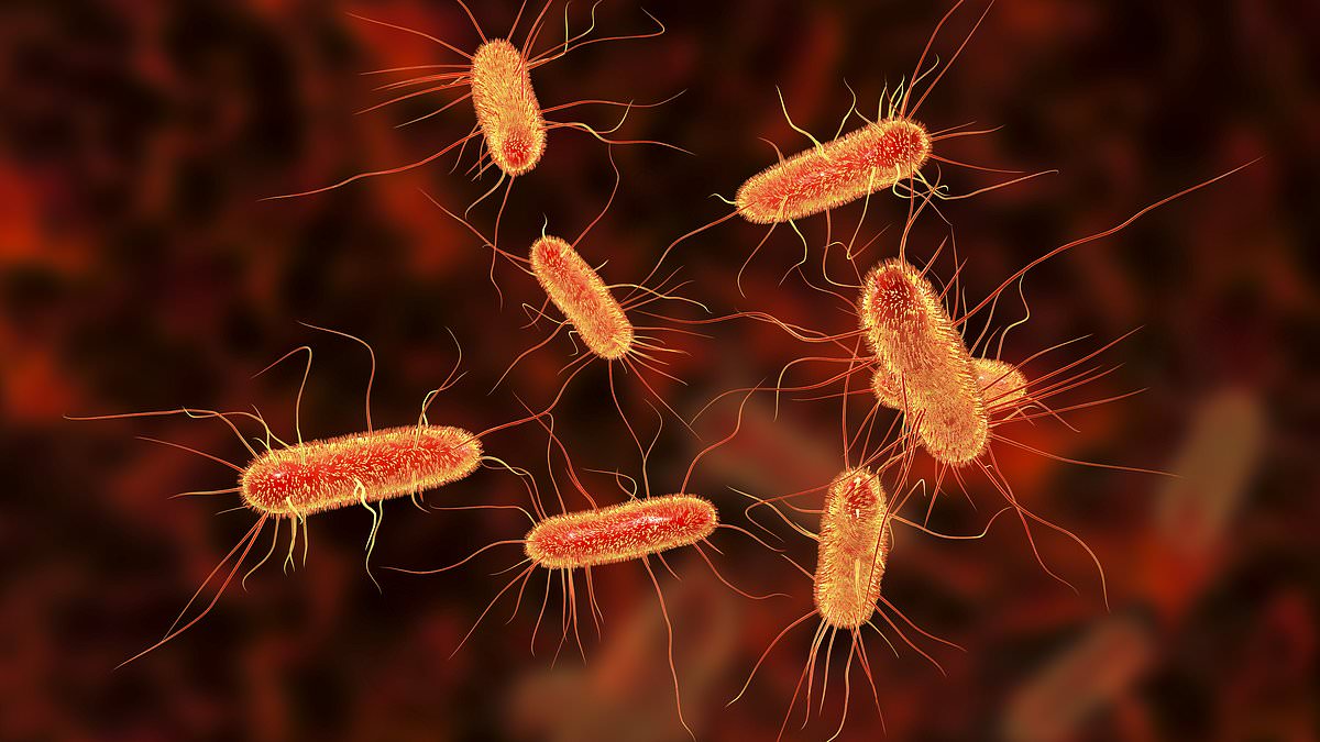 Urgent E.coli health warning as officials hunt for mystery food item causing a UK-wide outbreak [Video]