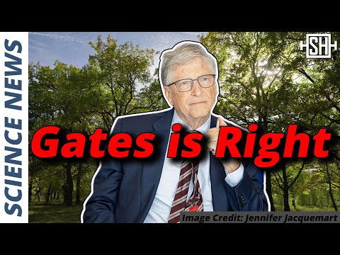 “Are we the idiots?” – Bill Gates on Planting Trees [Video]