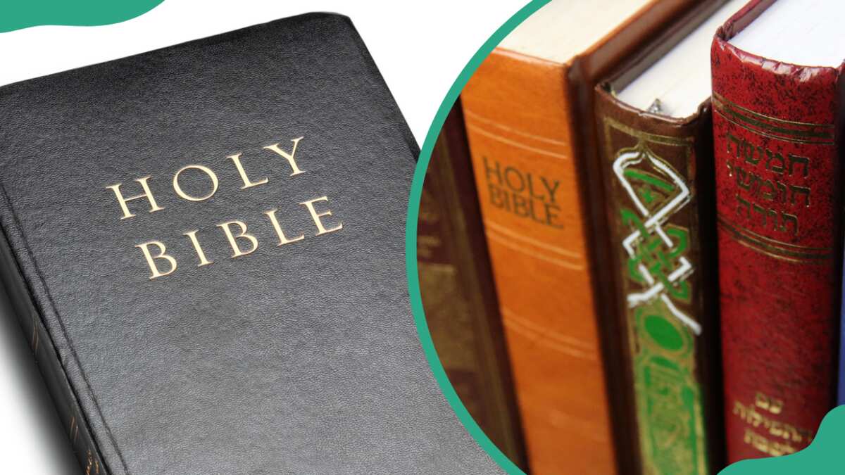 What is the shortest book in the Bible? 5 contenders by word count [Video]