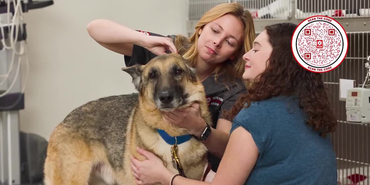 Quality care for pets and owners too, with Veterinary Emergency Group [Video]