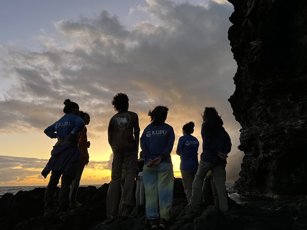 Kupu applications open for nearly 40 paid conservation positions on Maui : Maui Now [Video]