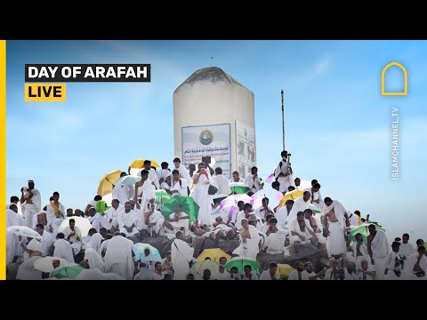 HAJJ 2024 / 1445: DAY OF ARAFAH LIVE COVERAGE BY ISLAM CHANNEL [Video]