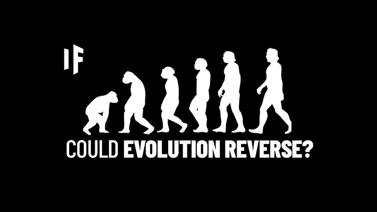 What If Humans Evolved Backward? [Video]