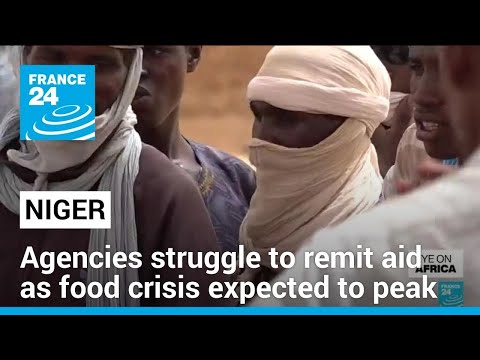 Agencies struggle to remit aid to Niger as food crisis expected to peak in June • FRANCE 24 [Video]