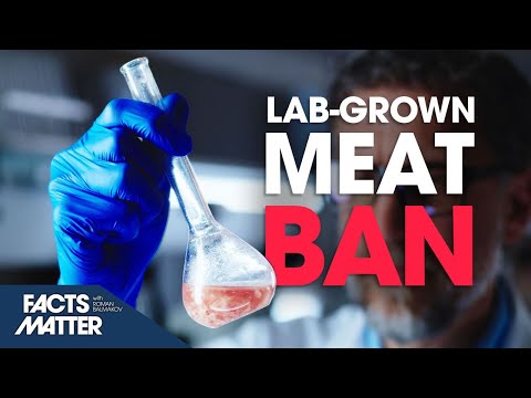 After FDA Approval, States Move to Ban Lab-Grown Meat From Sale | Facts Matter [Video]