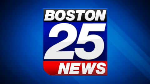 Woman pleads guilty to murder of Hollywood consultant and social justice advocate  Boston 25 News [Video]