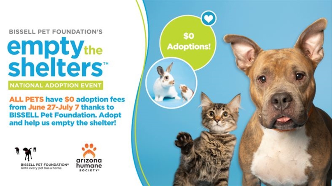 Arizona Humane Society drops adoption fees due to overcrowding [Video]